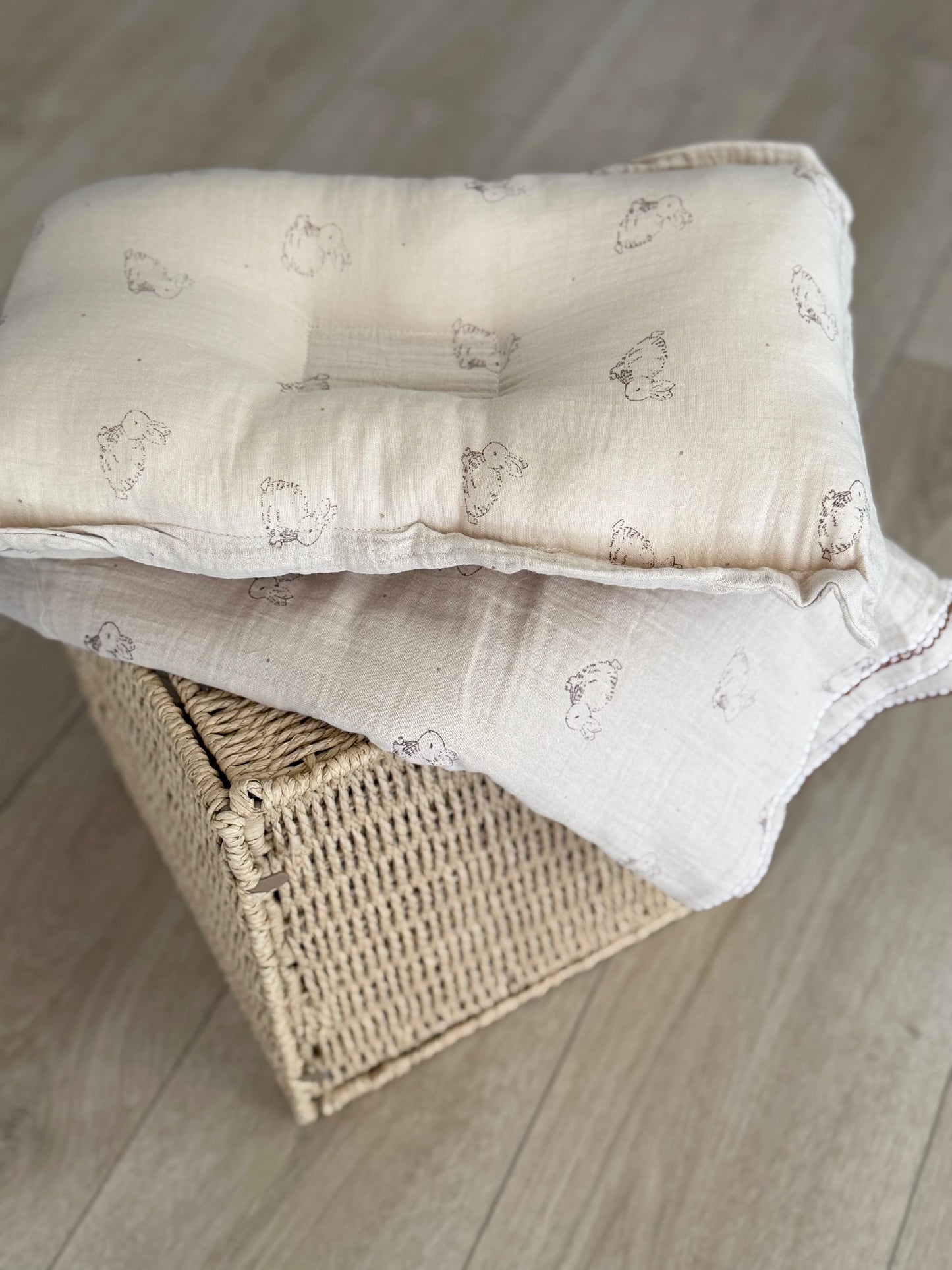 Blanket + pillow