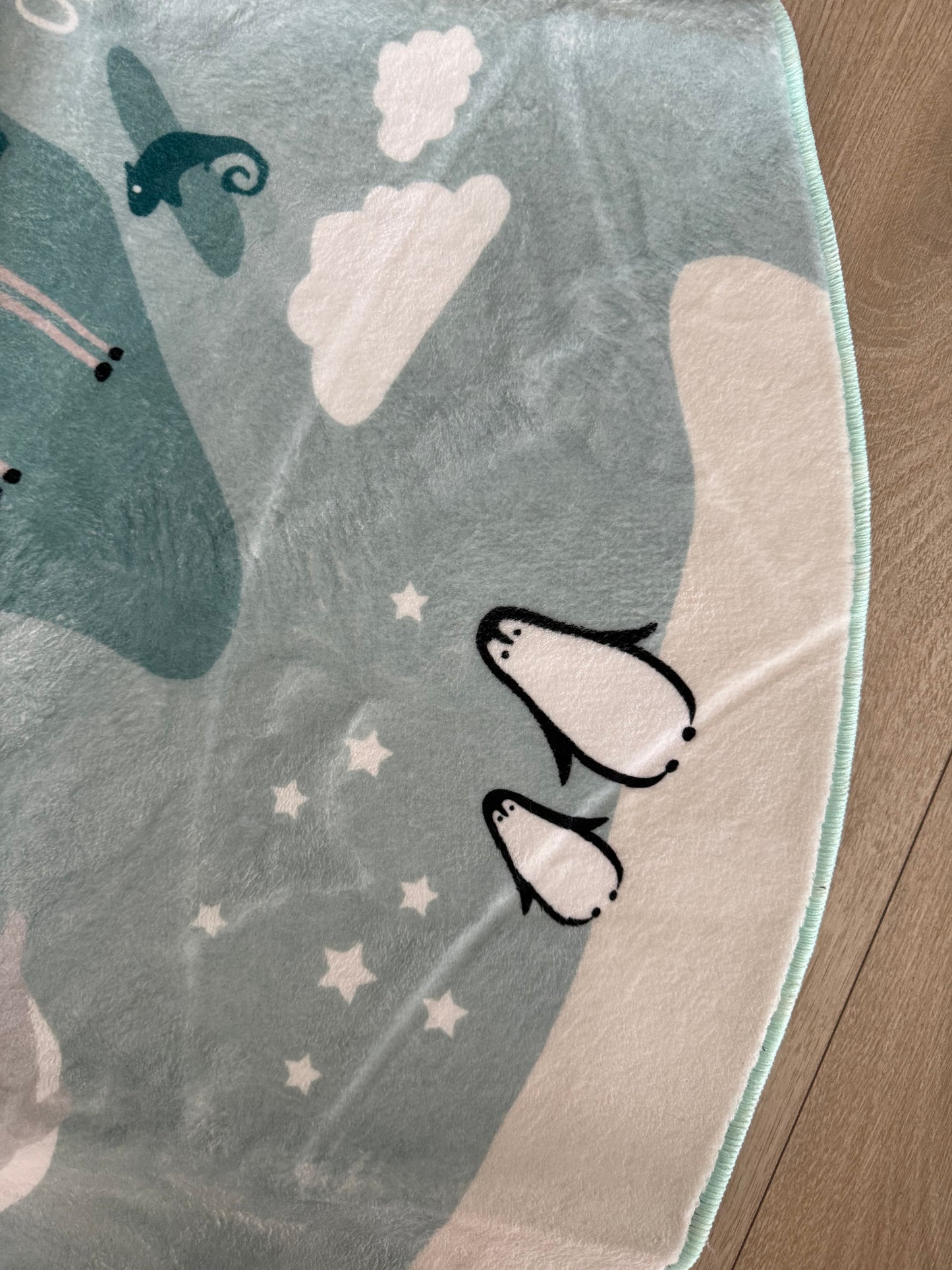 World Map Rug