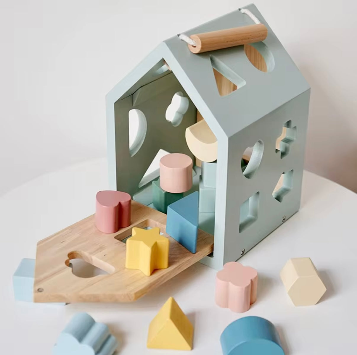 Montessori Wooden Sorting Toy