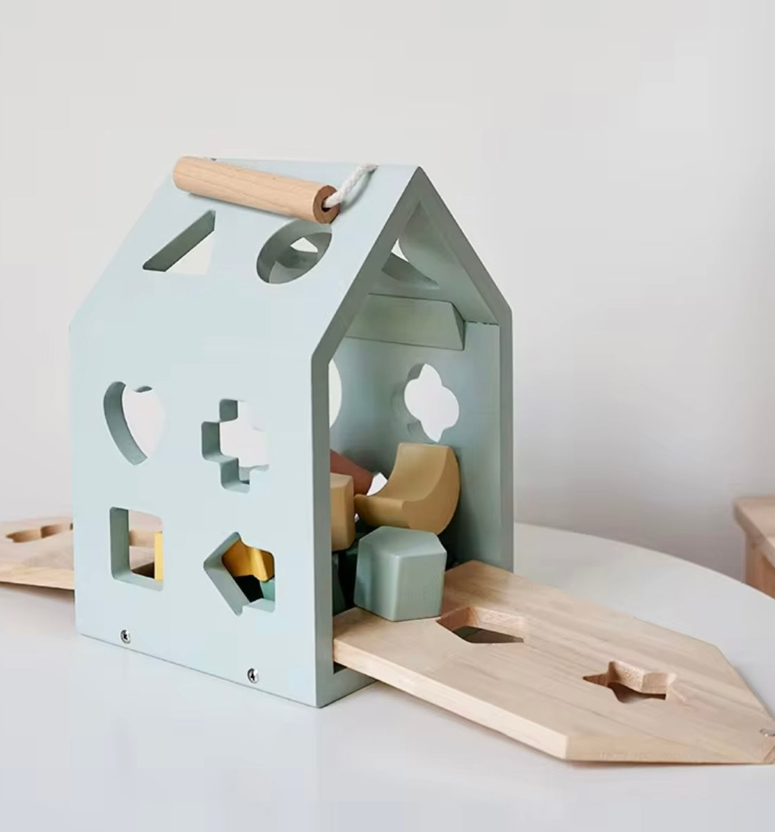 Montessori Wooden Sorting Toy