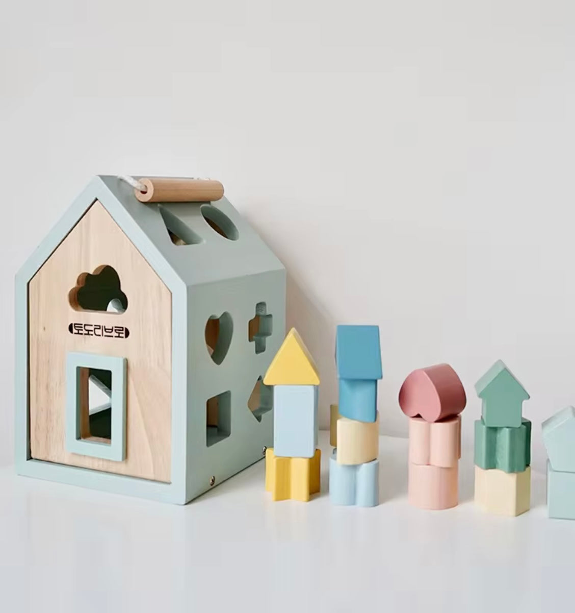 Montessori Wooden Sorting Toy