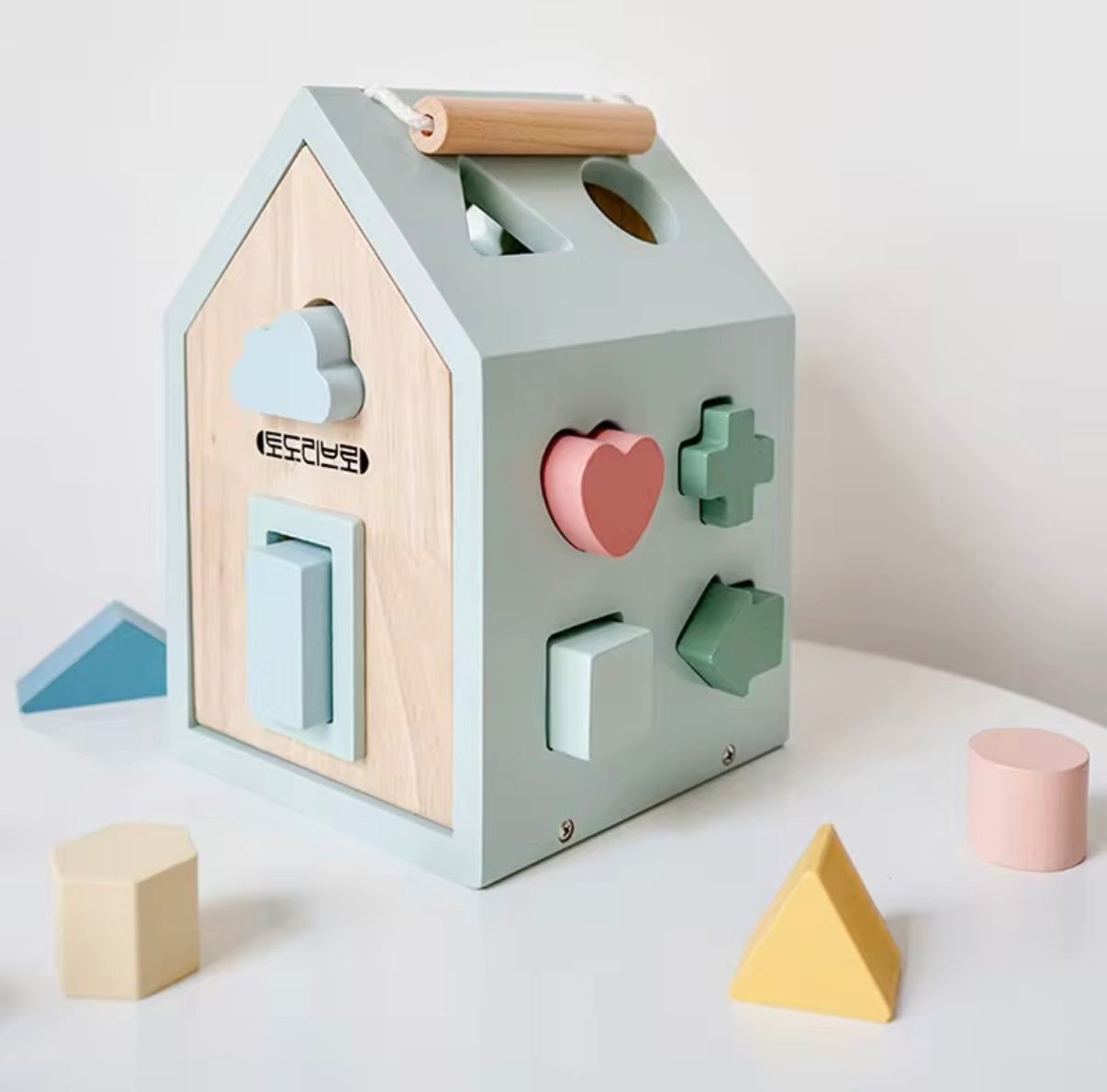 Montessori Wooden Sorting Toy