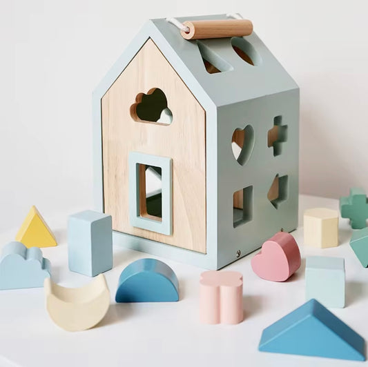 Montessori Wooden Sorting Toy