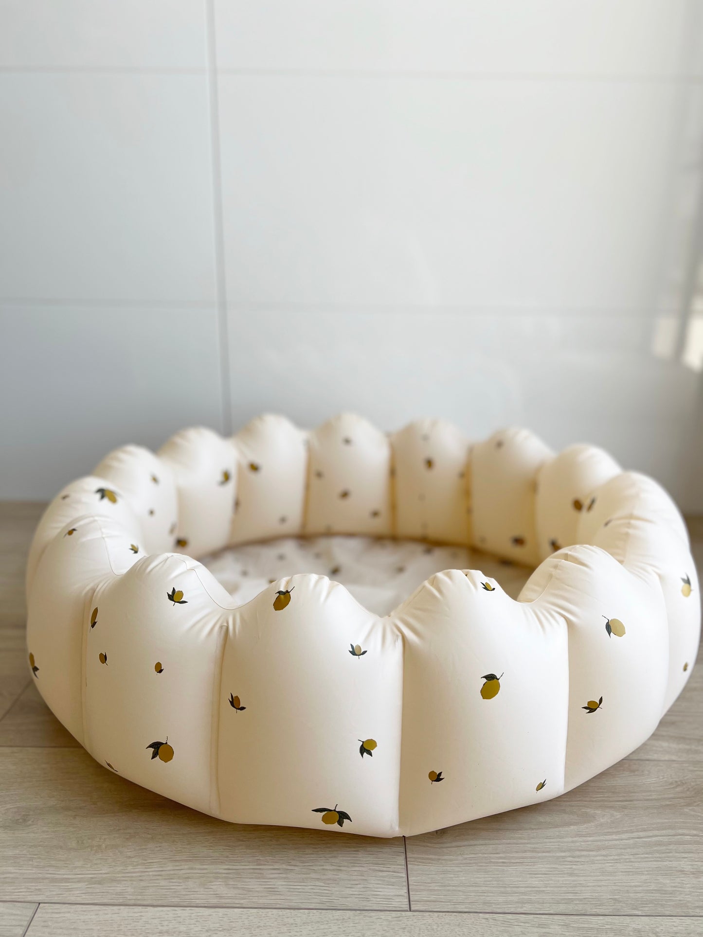 Inflatable Pool Fruit