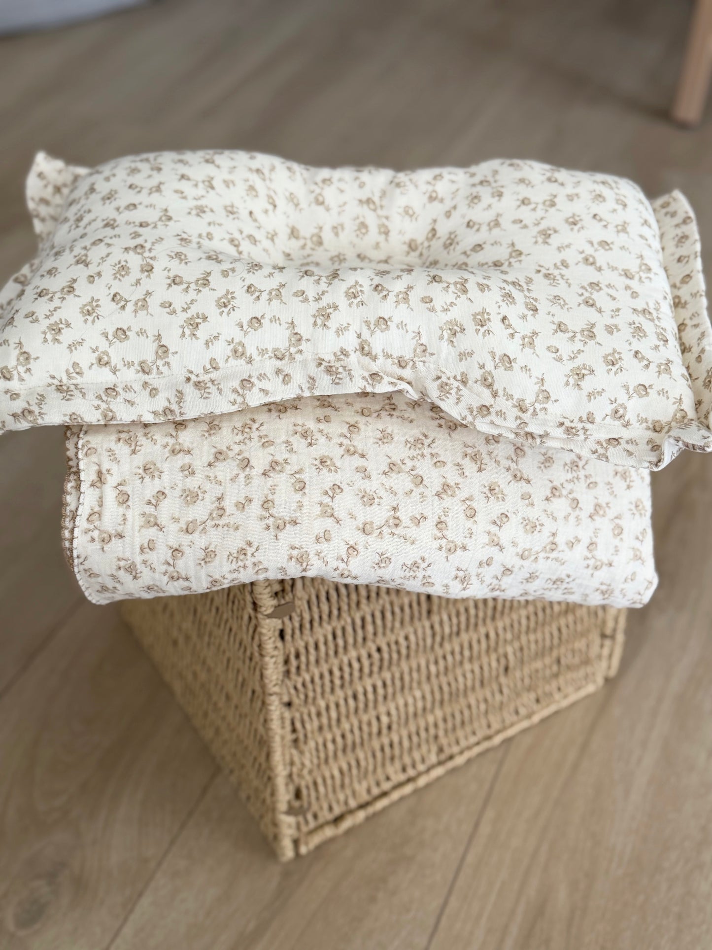 Blanket + pillow