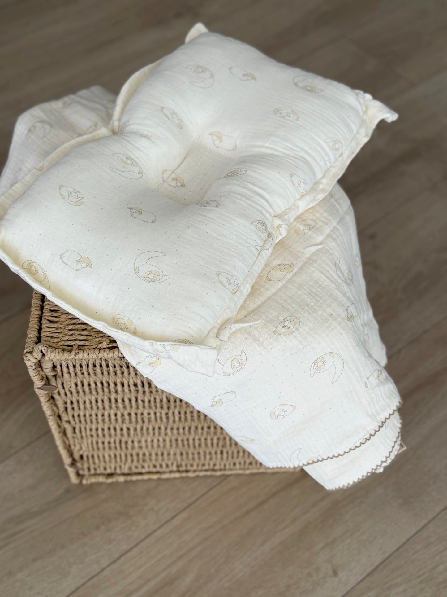 Blanket + pillow