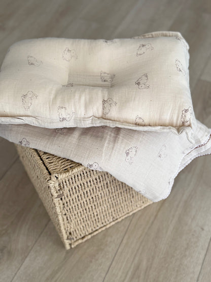 Blanket + pillow