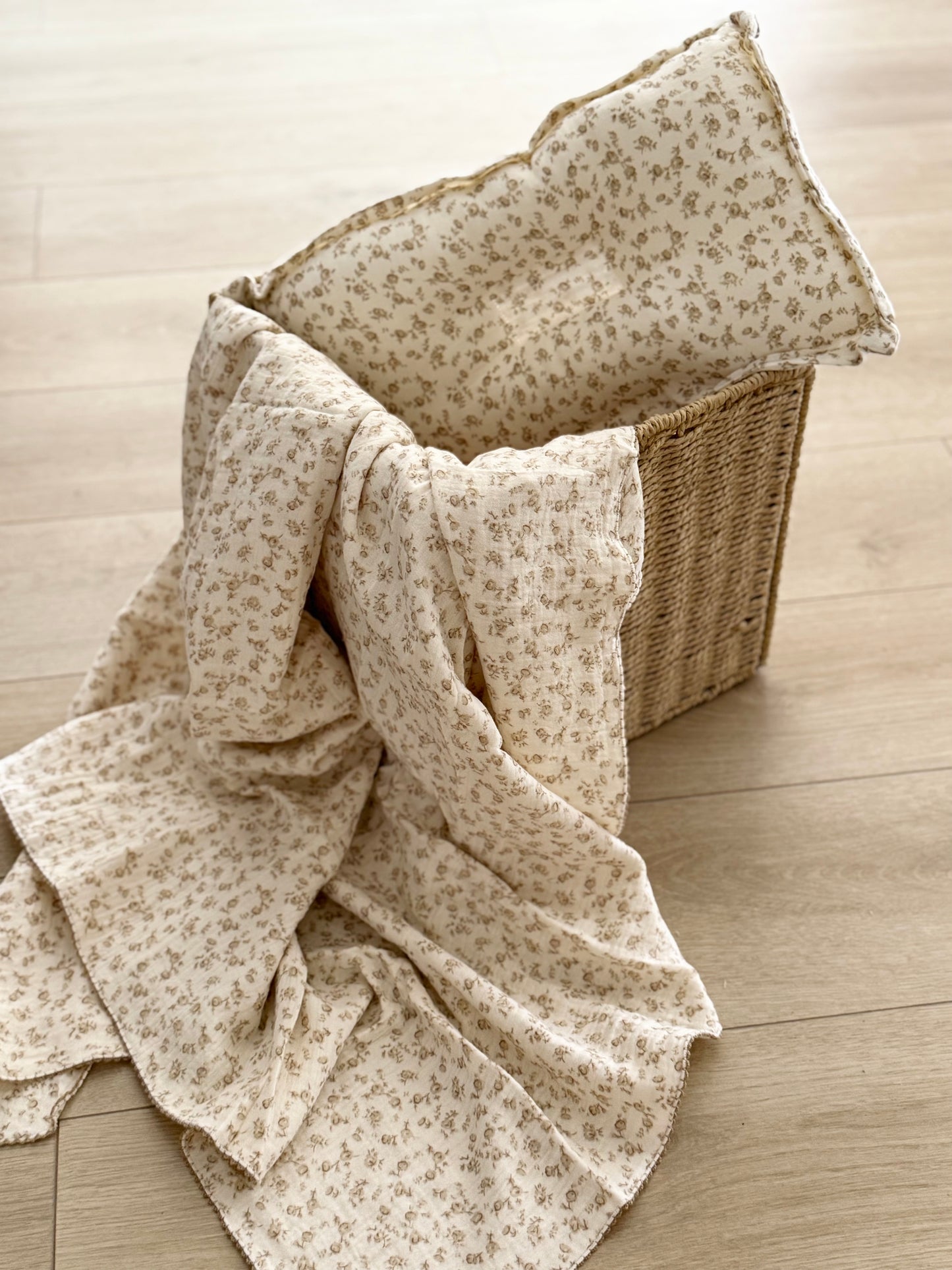 Blanket + pillow