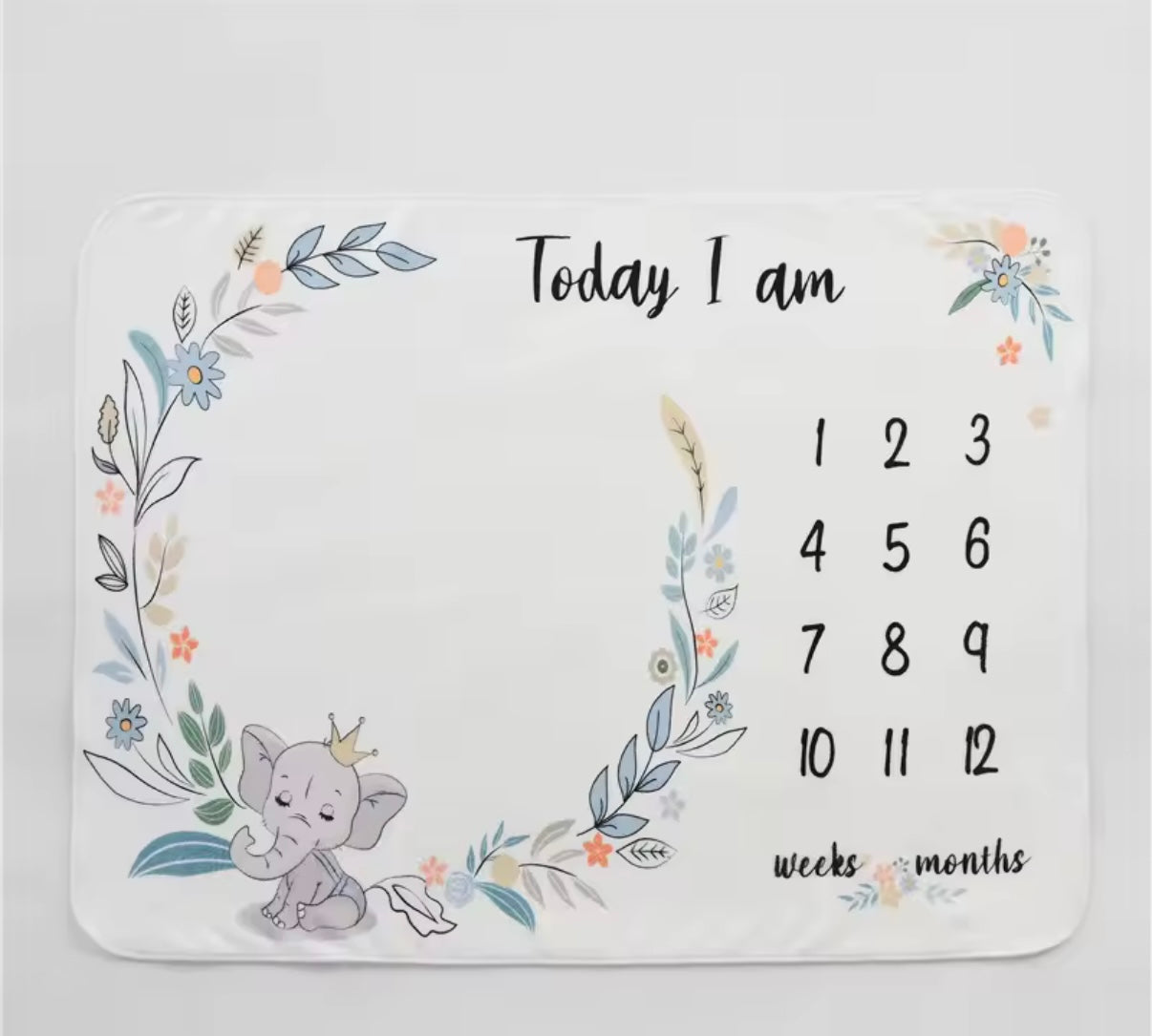 Milestone Blanket