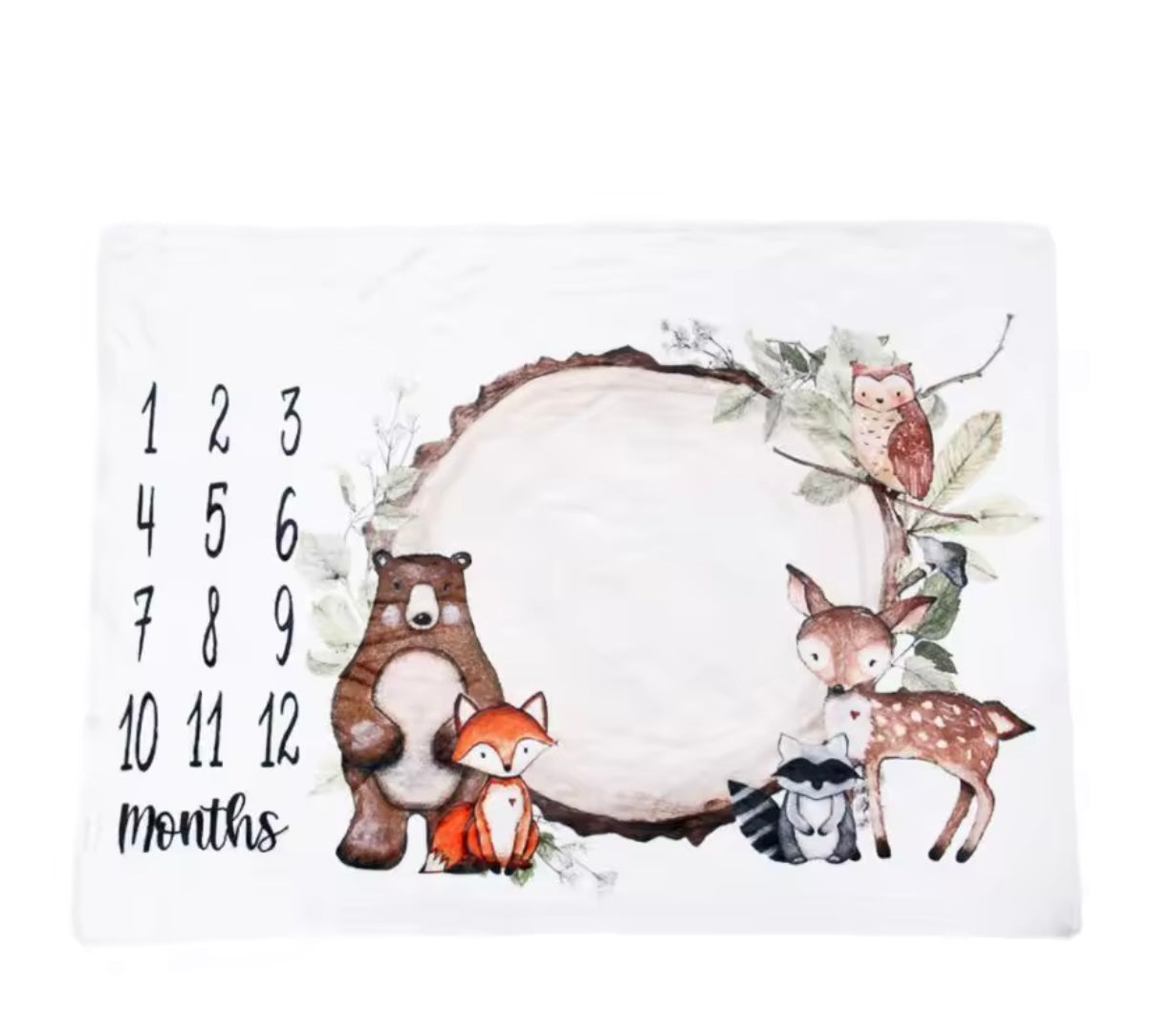Milestone Blanket